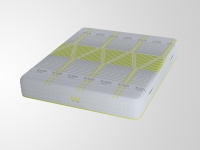 X-BIO Artic